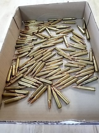 Item #1 — 223 REM ammo, cant ship