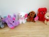 Item #689 — New Plush Stuffed Animals Set