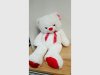 Item #550 — New White Teddy Bear