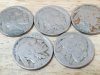 Item #43 — Lot of 5 Buffalo Nickels