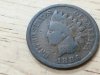 Item #14 — 1886 Indian Head Penny