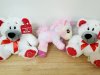 Item #666 — New Valentine's Stuffed Animals