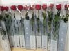 Item #564 — New Lot of Preserved Red Roses
