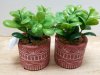 Item #102 — New Pair of Faux Succulents