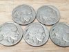 Item #6 — Lot of 5 Buffalo Nickels
